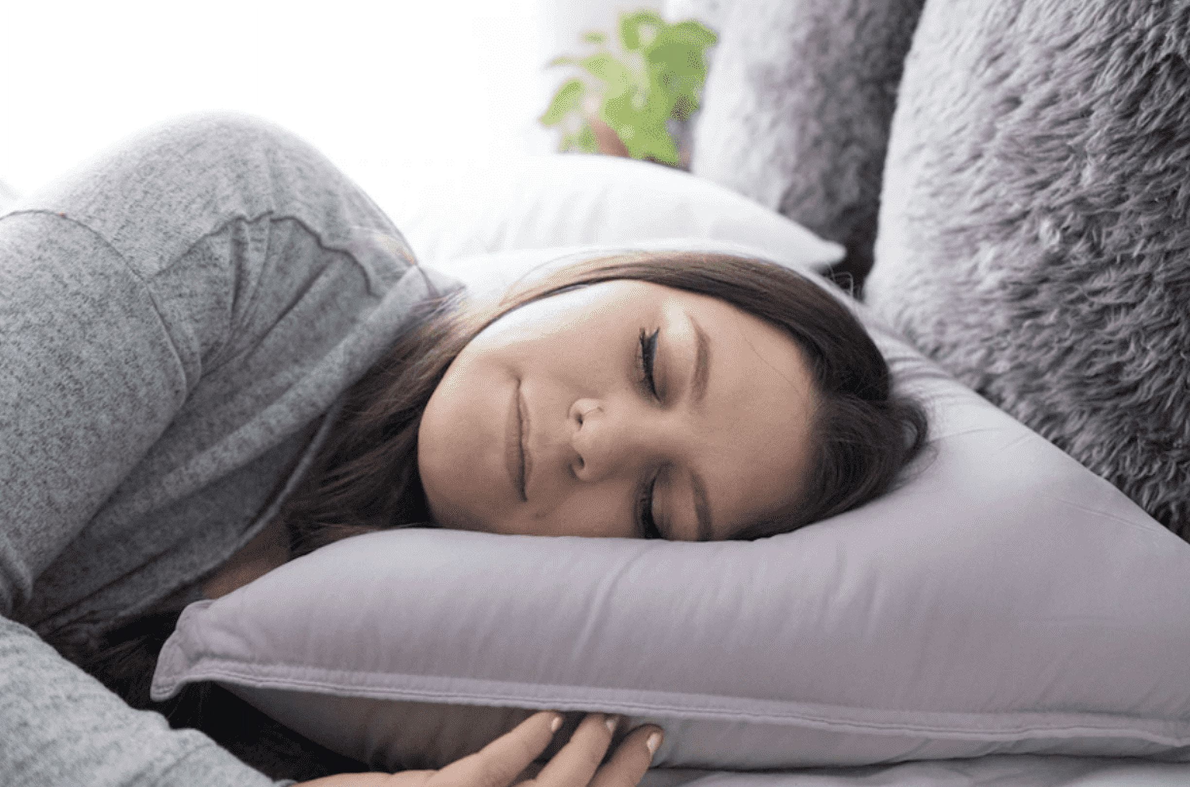 Pillowtex Dream in Color Pillow (Queen (20 Inches x 30 Inches), Heather)