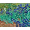 thumbnail image 2 of Van Gogh, Vincent 14x12 White Modern Wood Framed Museum Art Print Titled - Irises (1889), 2 of 4