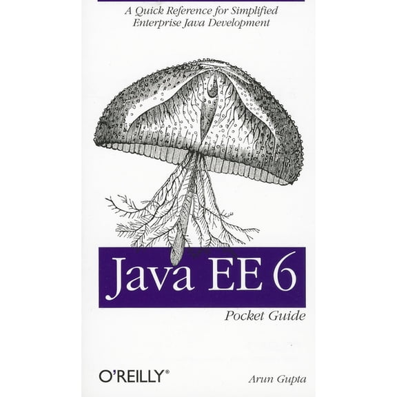 Java Ee 6 Pocket Guide: A Quick Reference for Simplified Enterprise Java Development (Paperback)