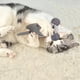 thumbnail image 5 of Cartoons Catss Dog Shaped Toy Gnaw Resistance Puplasticsy Toy Catss Self Funny Grinding Teeth Cleaning Interactive Toy, 5 of 5