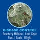 thumbnail image 3 of Control de insectos y ácaros BioAdvanced Houseplant 709 ml, 3 of 6