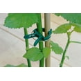 thumbnail image 4 of Pinzas para plantas yuxing verdes juego de pinzas de soporte para plantas suaves y duraderas 48 grandes + 48 pequeñas, 4 of 5