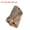 #2 Petrified Wood (2-5cm), variant on HOOUN 1x Mini Natural Teaching Specimen Teeth Brachiopod Spines Ammonites Plant-#48 (No Hole) Polished Orthoce...-1PC (Random Pick)