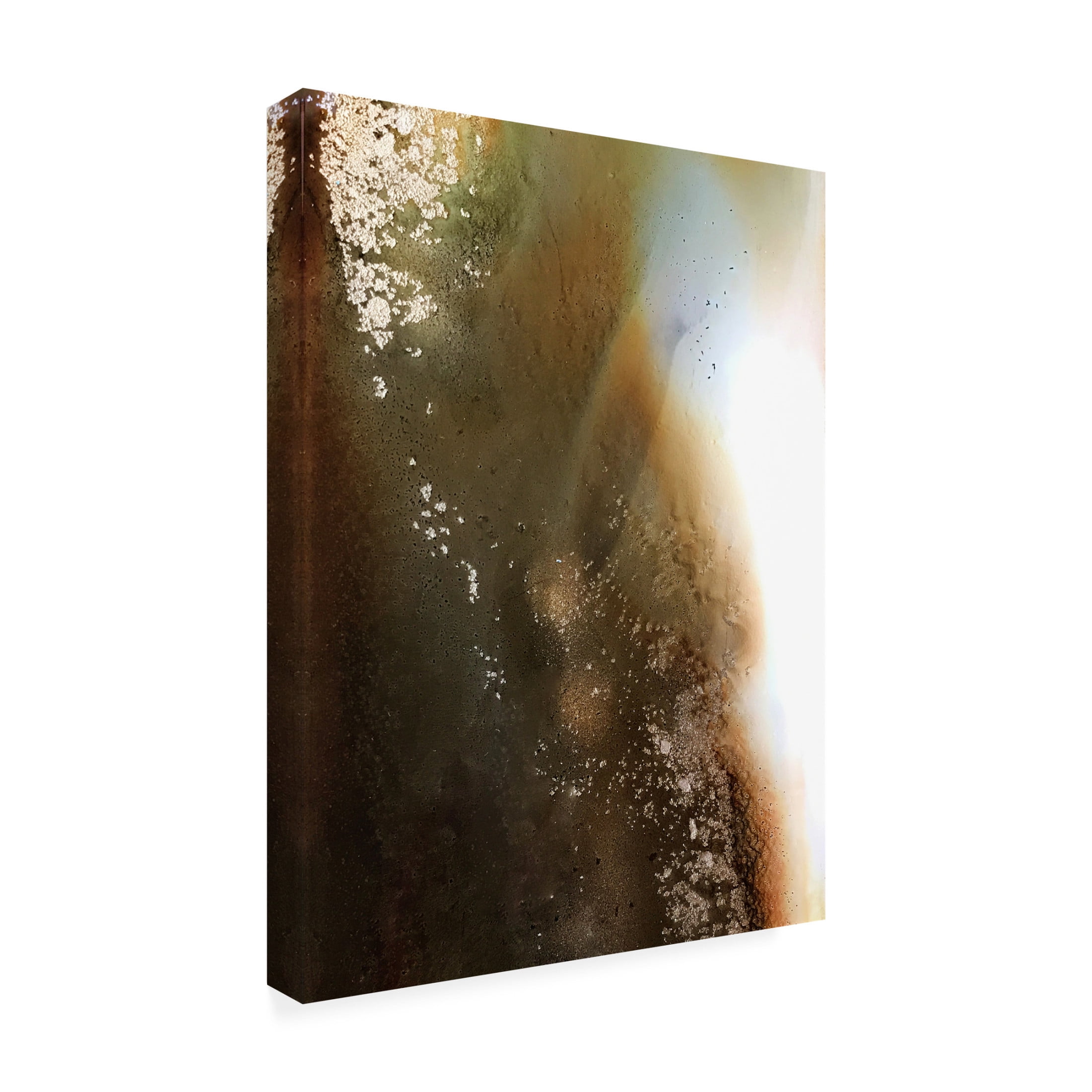 Trademark Fine Art Alyson Storms Agate Canvas Wall Art