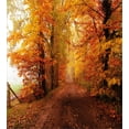 thumbnail image 3 of Fall Duvet Cover Set, Footpath in Foggy Woods Peaceful September Serene Idyllic Country Theme, Decorative 3 Piece Bedding Set with 2 Pillow Shams, Calking Size, Orange Redwood Yellow, by Ambesonne, 3 of 3