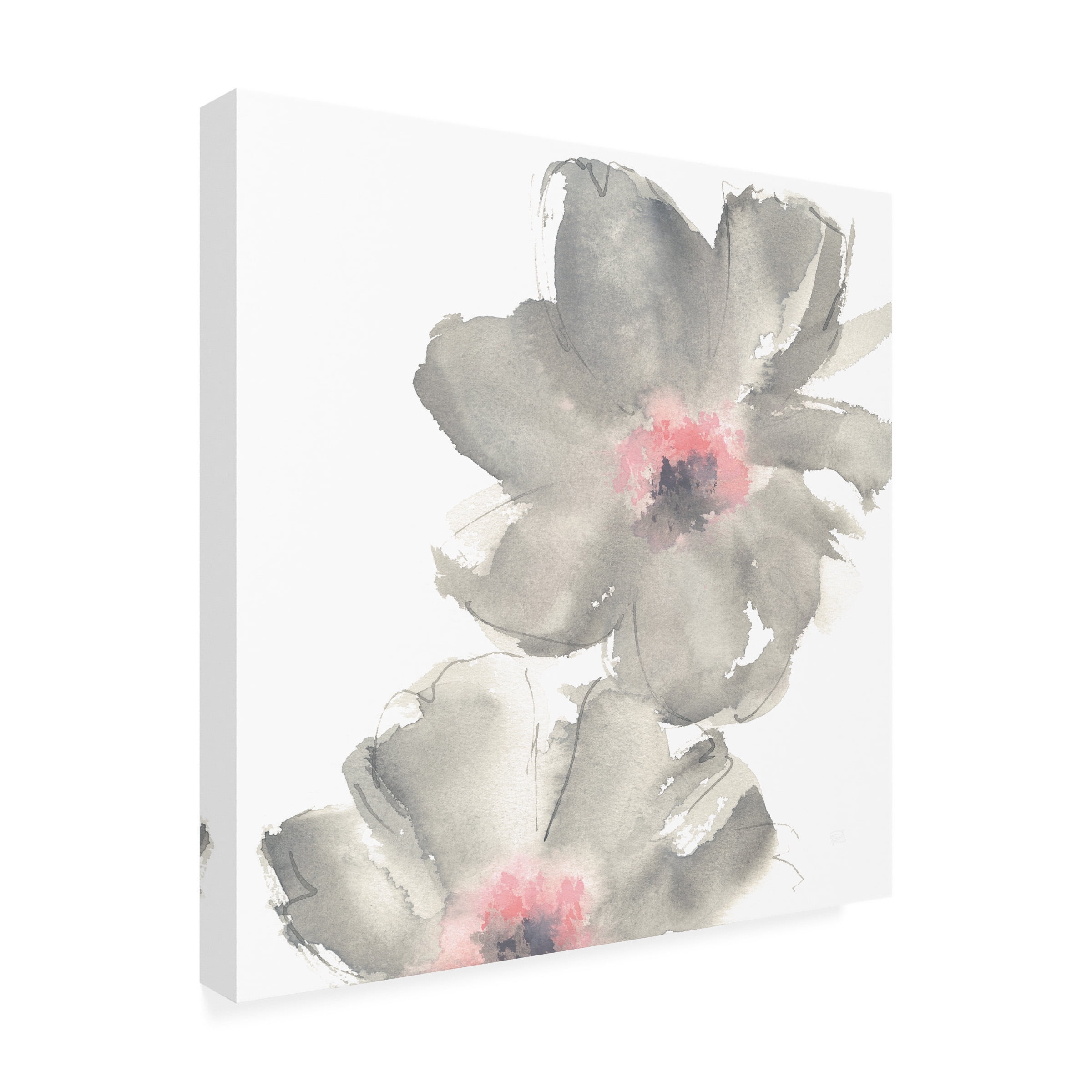 Trademark Fine Art 'Gray Blush Cosmos II on White' Canvas Art by Chris Paschke