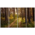 thumbnail image 2 of Route à Travers une Épaisse Forêt d'Automne - Art Moderne sur Toile, 2 of 3