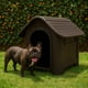thumbnail image 1 of Casa De Perro Raza Mediana Pequeña, 1 of 3