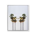 thumbnail image 1 of Society6 Make Me Sway by Chelsea Victoria Framed Art Canvas, 1 of 3