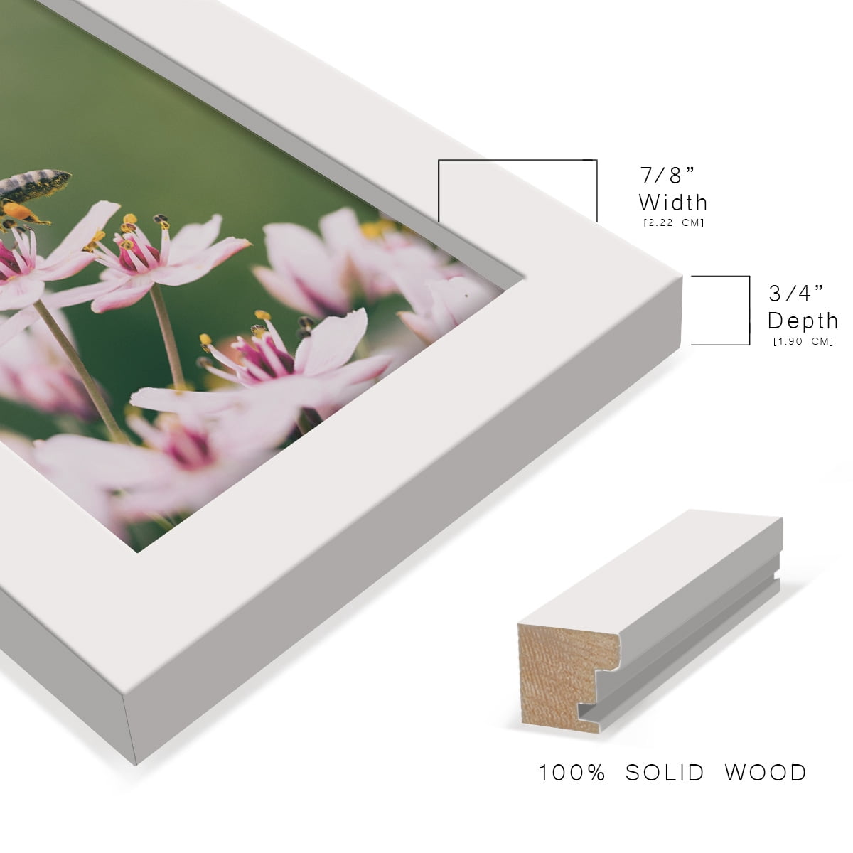 Modern 4 in. x 6 in. White Picture Frame (Set of 4)