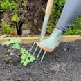 thumbnail image 3 of Spear & Jackson Traditional Stainless Steel Border Fork, Durable Heavy Duty Garden Tool, Ideal for Aerating Weeding and Digging, Comfortable Wooden Handle, 3 of 5