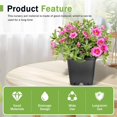 thumbnail image 6 of 10-Pack 5 Gallon Square Plastic Garden Planter Pots Flower Seedling Container Fit for Indoor Outdoor Plants Seedlings Flowers Vegetables Black$$Garden &, 6 of 7