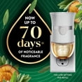 thumbnail image 2 of Air Wick Vibrant Plug-In Scented Oil Air Freshener Warmer Refills, White Sage and Mahogany, 3 Count, 2 of 9