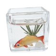 thumbnail image 1 of Casa de Muñecas DIY Hugo Mini Modelo Juego de Imaginación Cuenco de Peces de Colores, 1 of 10