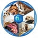 thumbnail image 5 of Fiudx Pelota Vibradora para Perros, Juguete Interactivo con Movimiento Automático, Luz Led para Jugar de Noche, Ideal para Aventuras Al Aire Libre, Diversión En Interiores y Ejercicio, Diseño Apto pa, 5 of 6