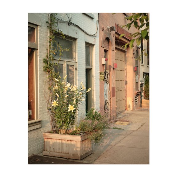 Floral Cobble Hill 01 - Brooklyn New York Photography Unframed Wall Art Print 8 x 10 inches