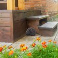 thumbnail image 3 of Soporte De Almacenamiento De Llaves Secretas Seguro A Prueba De Agua Para Esconder Erizos De Roca Sintética Para Adorno De Jardín Interior Y Exterior, 3 of 7