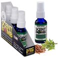 thumbnail image 1 of Spray ambientador Scent Bomb Green Bomb 30 ml, paquete de 4, 1 of 6