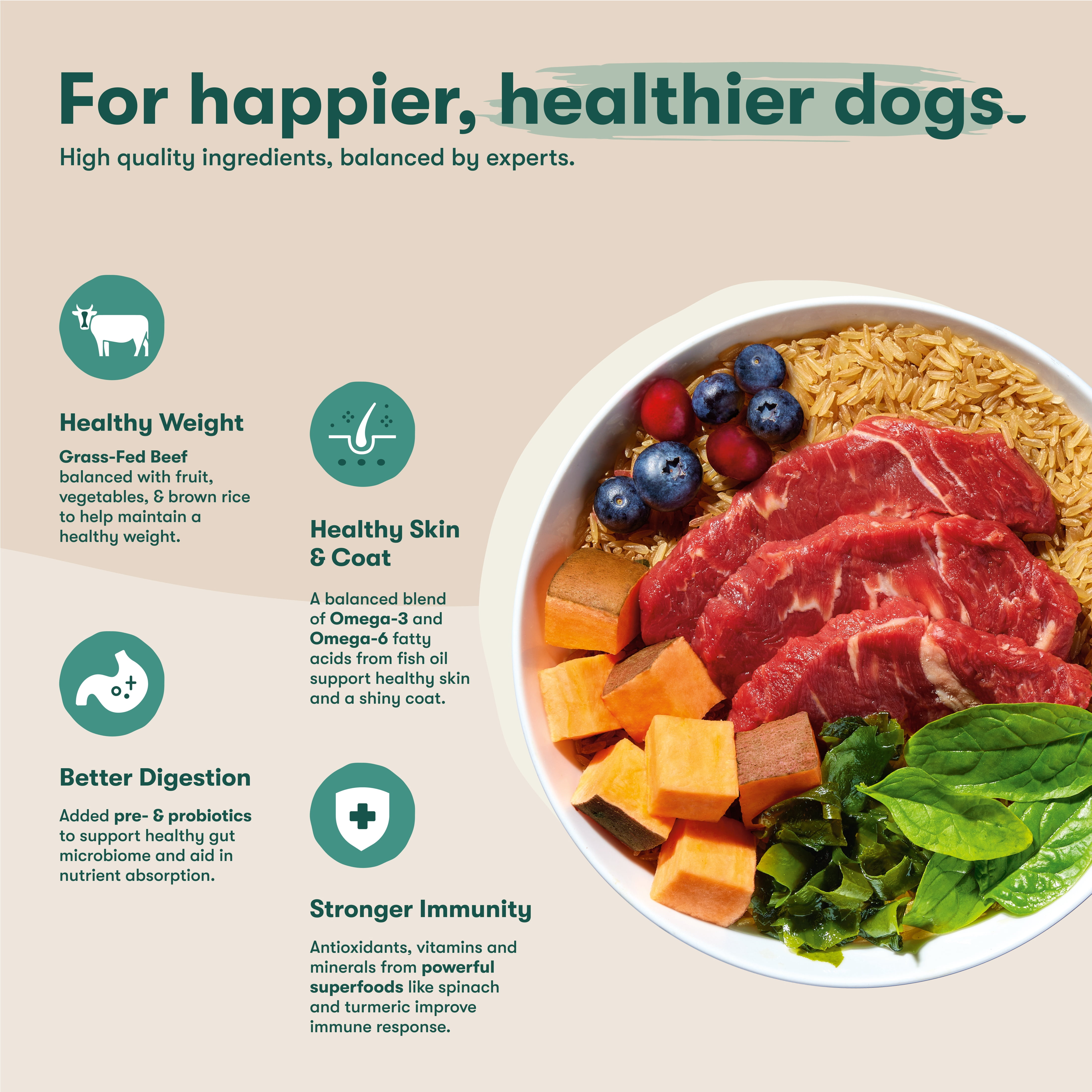 Jinx Beef, Brown Rice, & Sweet Potato Dry Dog Food, 30lb Bag