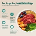 thumbnail image 3 of Jinx Beef, Brown Rice, & Sweet Potato Dry Dog Food, 30lb Bag, 3 of 11