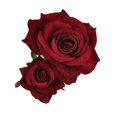 thumbnail image 1 of Pinza para el cabello con flor de rosa, accesorios para el cabello con flores de rosas rojas en 3D, pieza de peine para niñas, mujeres, novia, boda, pinza para el cabello, bailarina de flamenco, horqu, 1 of 1