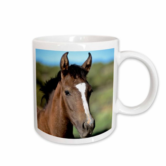 3drose, Andalusian Colt, Horse - Na02 Lkl0007 - Lee Klopfer, 11oz Mug