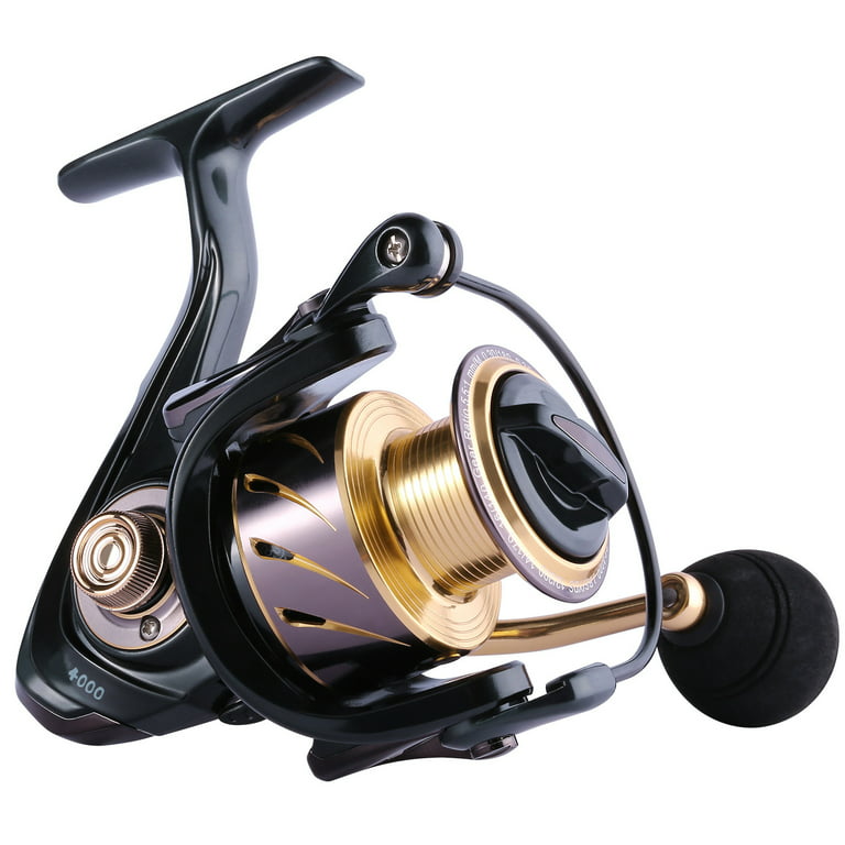  Sougayilang Spinning Reels Light Weight Ultra Smooth Powerful Fishing  Reels Blue 2000 : Sports & Outdoors