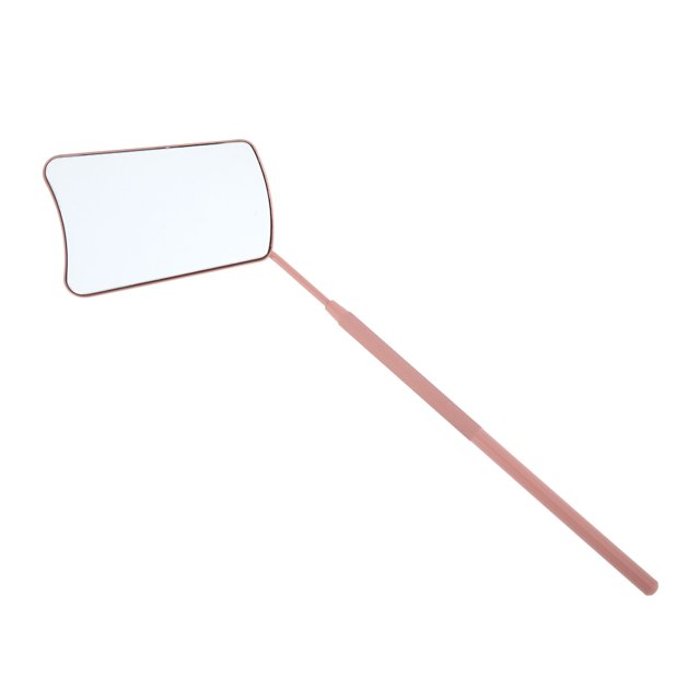 Espejo de pestañas en forma de abanico de 1 pieza de Unique Bargains, acero inoxidable, tono dorado rosa
