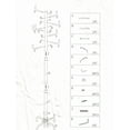 thumbnail image 5 of Frenchi Home Furnishing Modern Style Metal Eight Hook Coat Rack, 5 of 5