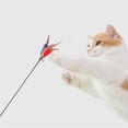 thumbnail image 5 of HWRETIE Interactive Cat Feather Wand Toy Long Pole with Colorful Feathers and Bells Teaser Toy for Indoor Cats and Kittens Hunting Exercise Daily Play, 5 of 6