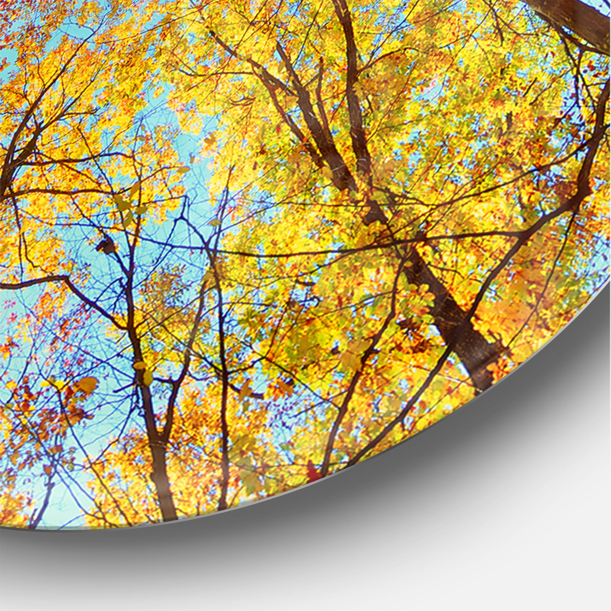 Designart 'Tree Tops in Autumn Forest ' Rustic wall clock