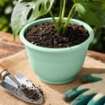 thumbnail image 6 of Plant Pots for Indoor Outdoor, Lightweight Simple Style Plastic Floor Planters with Drainage Holes, for Home, Patio & Garden Green, 6 of 6