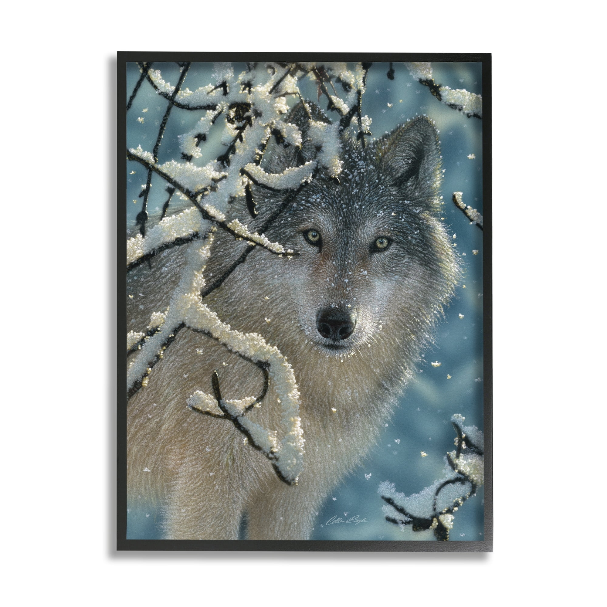 Stupell Industries Wolf Behind Snowy Branches Winter Wild Forest Animal, 16 x 20, Design by Collin Bogle