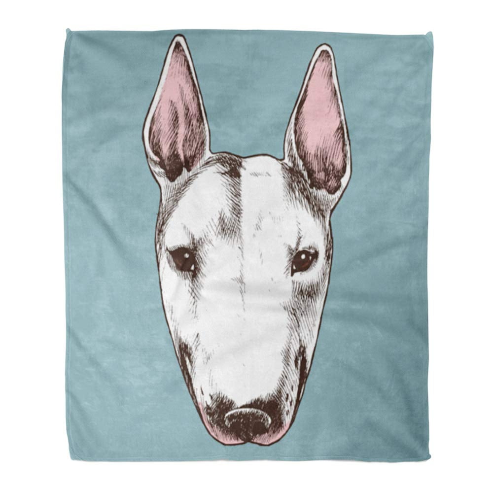 get your dog's face on a blanket