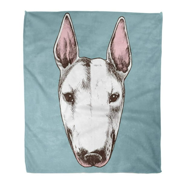 Your dog's face on a blanket 2025