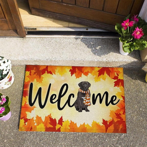 Yeetfub Front Door Rugs for Entryway Indoor, Outdoor Mats for Home Entrance, Front Porch Decor Funny Letter Cute Print Doormats Durable Front Door Mat Brown 16"x24"