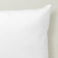 Harper Lane Decorative Pillow Insert 22x22