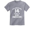 thumbnail image 1 of Tstars Boys Unisex 14 Birthday Gift Tshirt Birthday Gift for 14 Year Old Birthday Gift for Boys 14 Years of Being Awesome! Birthday Party B Day Youth Kids T Shirt, 1 of 6
