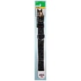 thumbnail image 2 of RUFFIN' IT Dog Collar, 2 of 2