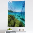 thumbnail image 1 of Coastal Tapestry, Green Trees Clear Water Idyllic Beach Summer Vacation Tropical Seascape, Fabric Wall Hanging Decor for Bedroom Living Room Dorm, 5 Sizes, Blue Turquoise Green, by Ambesonne, 1 of 1