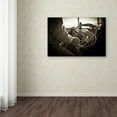 thumbnail image 3 of Trademark Fine Art 'Where Would You Go with a Lasso?' Canvas Art by Dan Ballard, 3 of 3