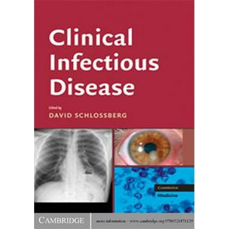 mitochondrial dna mutations in aging disease and cancer 1998