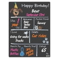 thumbnail image 2 of Cohas Party Theme Dog Milestone Chalkboard, 15 by 20 inches, 3 Bright Markers, 2 of 6