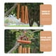 thumbnail image 2 of Campana de viento colgante para jardín, campanilla de viento de bambú para exteriores, decoración, 2 of 6