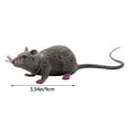thumbnail image 3 of Novelty Funny Toy Animal Soft Halloween Decoration for and Laughter, 3 of 8