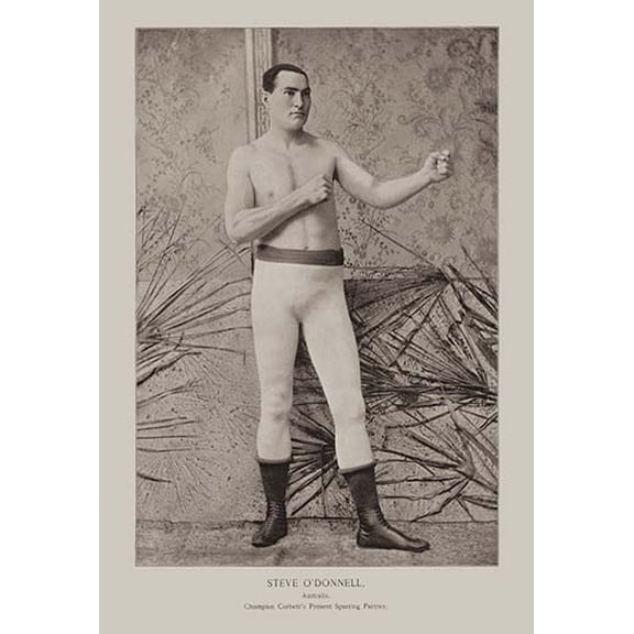 Steve O'Donnell - Australian Boxer Fine art canvas print (20" x 30")