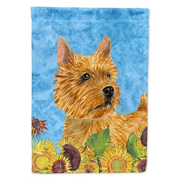 Carolines Treasures SS4132GF Norwich Terrier Flag, Small, Multicolor