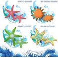 thumbnail image 5 of Ensemble de 4 Jouets de Plongée Modèle Étoile de Mer Jouet Coloré Ensemble de Jouets de Piscine (Style 2), 5 of 5