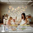 thumbnail image 2 of Rose LED Tree Branch Lights for Wall, Rose Flower Willow Vine Twig Decor Garland with 144 LED Lights and Remote,8 Lighting Modes,Christmas Decorations Indoor for Home Wall Door Window (90inch), 2 of 15
