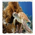 thumbnail image 3 of Ambesonne Turtle Shower Curtain, Tropic Waters Coral Reef, 69"Wx70"L, Pale Coffee Brown Blue, 3 of 3